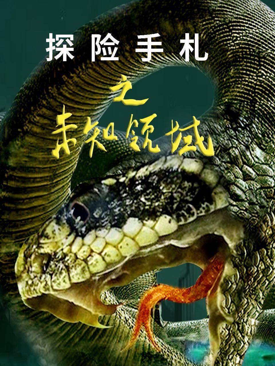 探险手札之未知领域